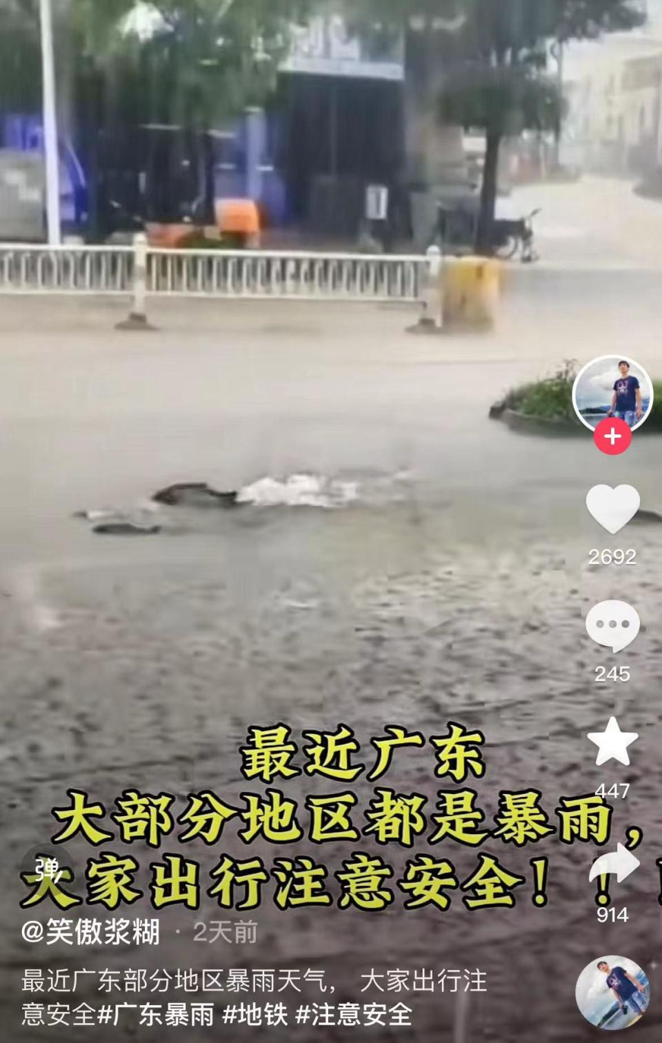 广东与山东,一场跨越地域的文化碰撞 广东与山东,一场跨越地域的文化碰撞